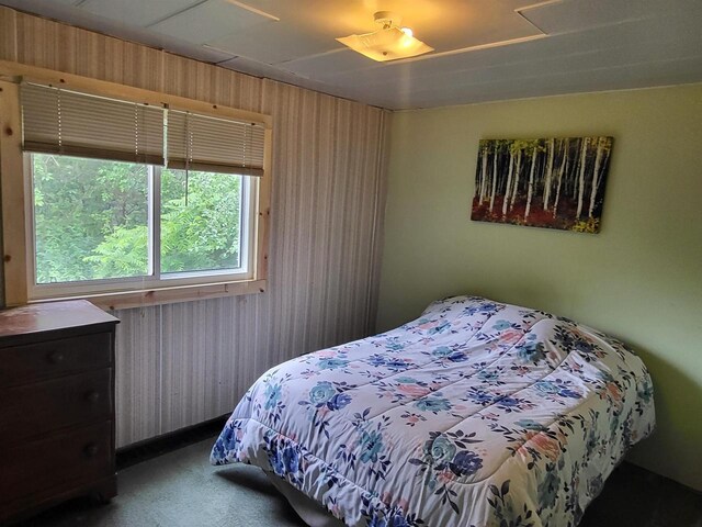 9317 N Arrowhead Shores Rd, Edgerton, WI 53534 - carpeted bedroom with wood walls