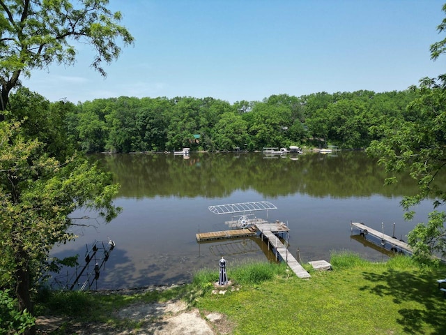 9317 N Arrowhead Shores Rd, Edgerton, WI 53534 - dock with a water view and a view of trees