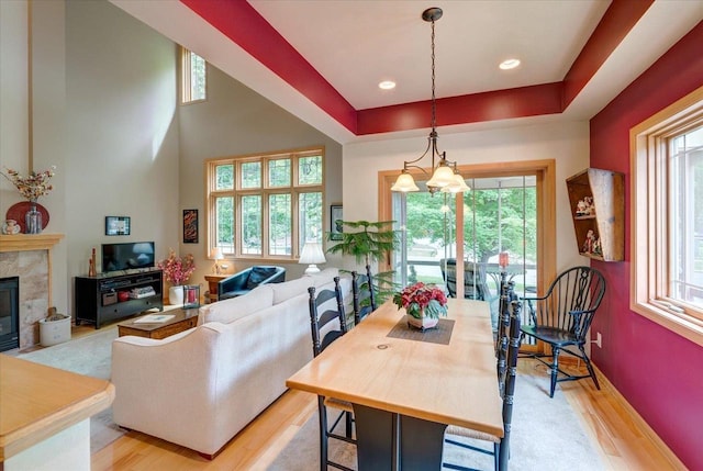 14 Wood Brook Way, Fitchburg, WI 53711 - dining area featuring light wood finished floors, plenty of natural light, and a premium fireplace
