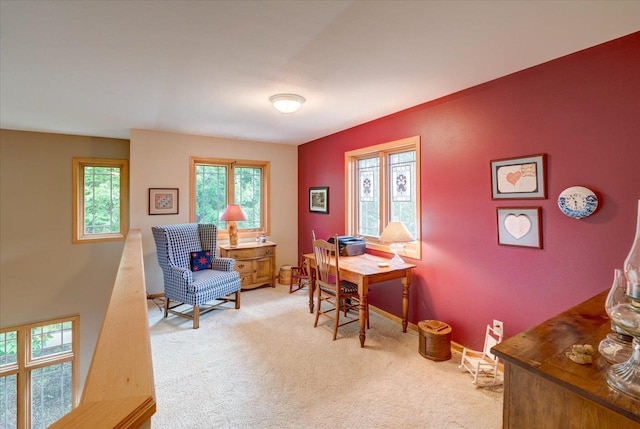 14 Wood Brook Way, Fitchburg, WI 53711 - office space featuring light colored carpet and baseboards