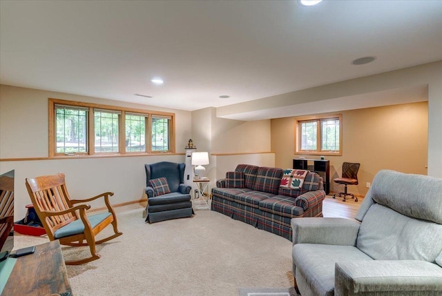 14 Wood Brook Way, Fitchburg, WI 53711 - living area featuring recessed lighting and carpet floors