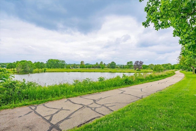 14 Wood Brook Way, Fitchburg, WI 53711 - water view