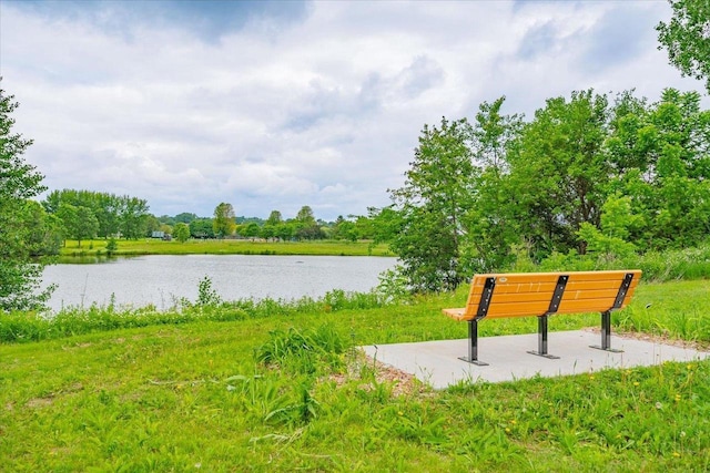 14 Wood Brook Way, Fitchburg, WI 53711 - water view