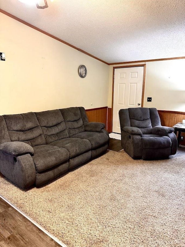 691 Valley Trl, Nekoosa, WI 54457 - living area with a wainscoted wall, wooden walls, wood finished floors, crown molding, and a textured ceiling