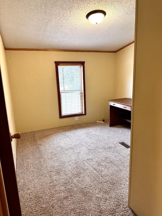 691 Valley Trl, Nekoosa, WI 54457 - carpeted empty room with a textured ceiling and crown molding