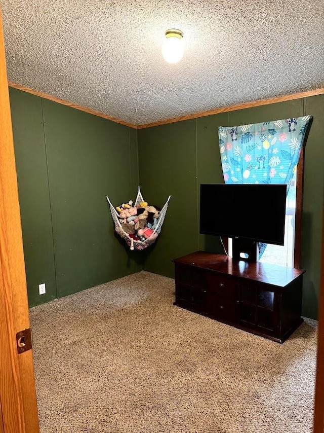 691 Valley Trl, Nekoosa, WI 54457 - bedroom with carpet flooring, crown molding, and a textured ceiling