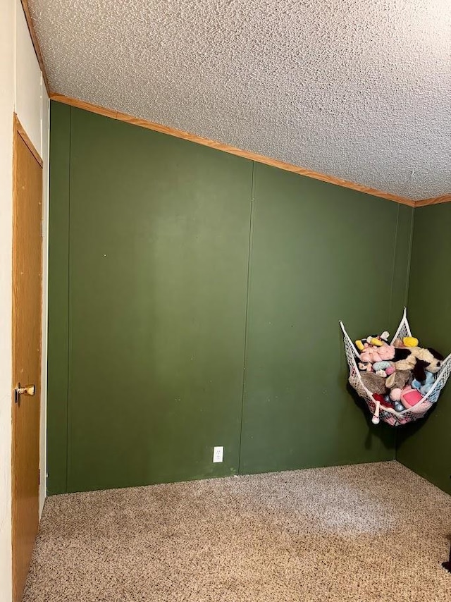 691 Valley Trl, Nekoosa, WI 54457 - carpeted spare room with a textured ceiling and crown molding
