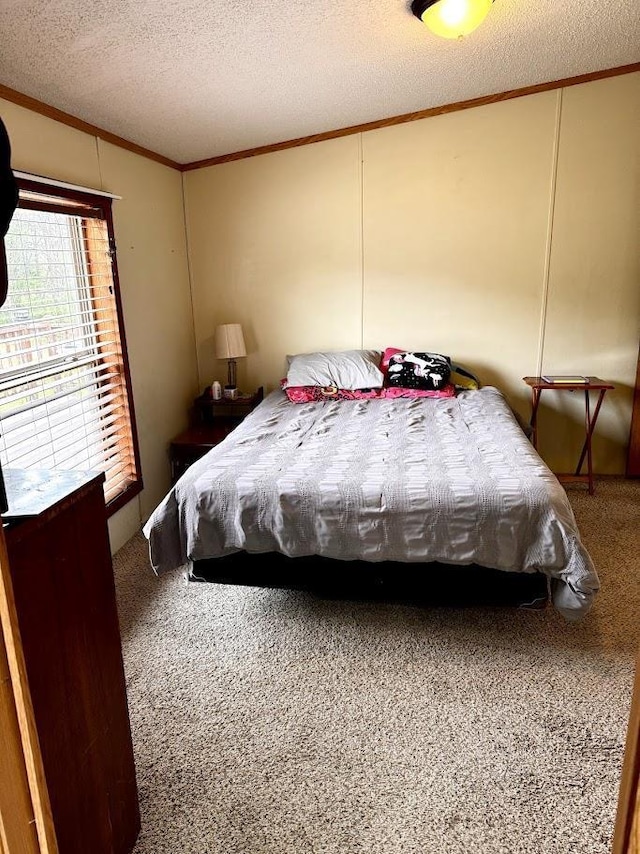 691 Valley Trl, Nekoosa, WI 54457 - carpeted bedroom with crown molding and a textured ceiling