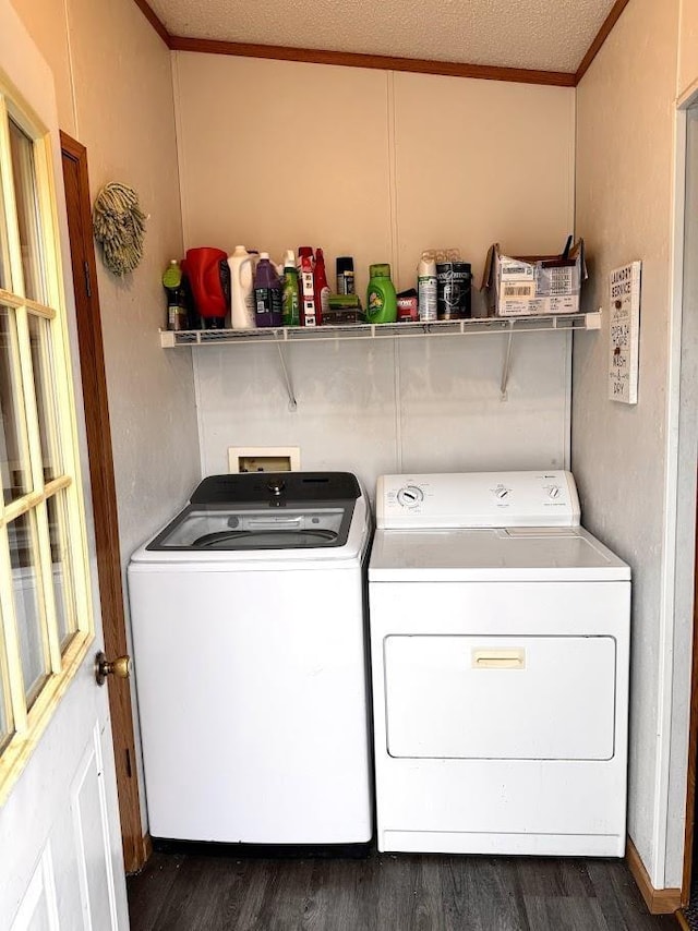691 Valley Trl, Nekoosa, WI 54457 - laundry area with washer and dryer, dark wood-type flooring, and ornamental molding