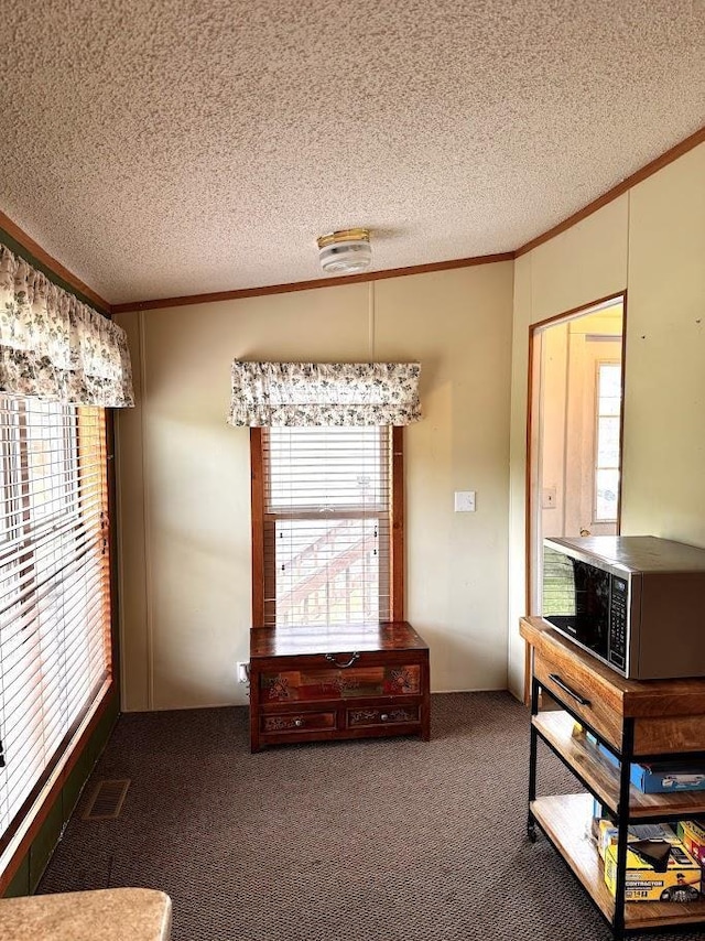 691 Valley Trl, Nekoosa, WI 54457 - carpeted dining space with crown molding, healthy amount of natural light, and a textured ceiling