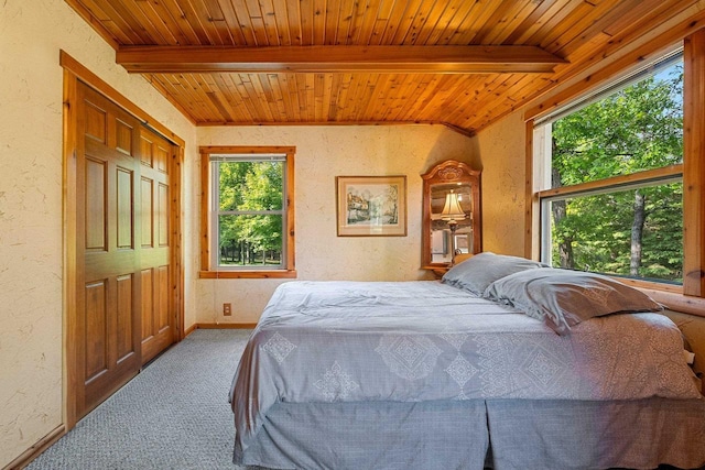 N11134 Nelson Rd, Athelstane, WI 54104 - carpeted bedroom featuring a textured wall and a wood ceiling with exposed beams