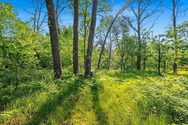 N11134 Nelson Rd, Athelstane, WI 54104 - view of nature