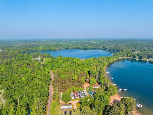 N11134 Nelson Rd, Athelstane, WI 54104 - bird's eye view of a large body of water
