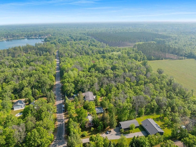 N11134 Nelson Rd, Athelstane, WI 54104 - aerial view of property's location with a forest and a nearby body of water