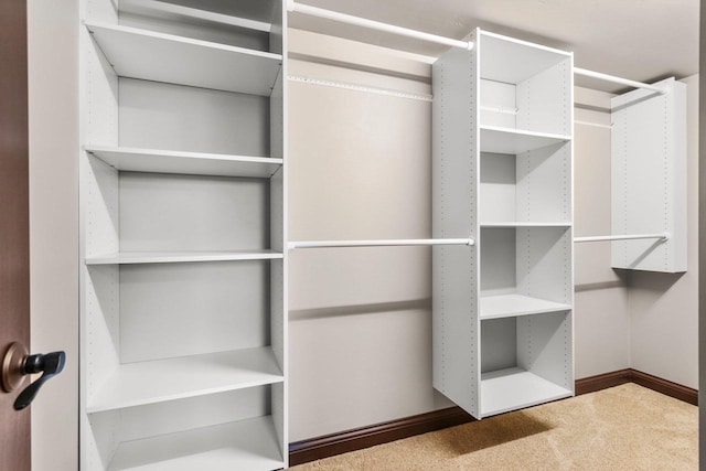 6600 N Kurey Dr, Appleton, WI 54913 - view of closet