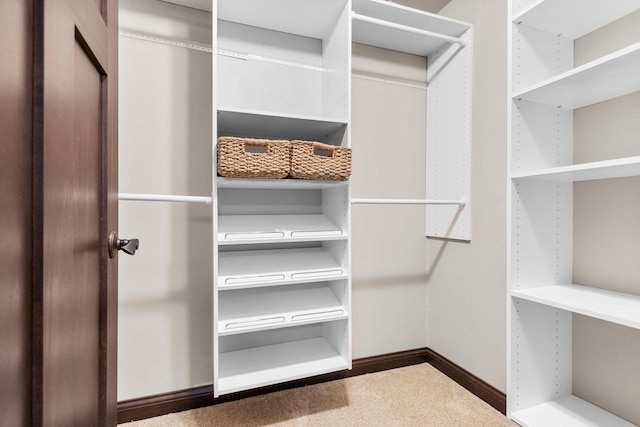 6600 N Kurey Dr, Appleton, WI 54913 - view of spacious closet