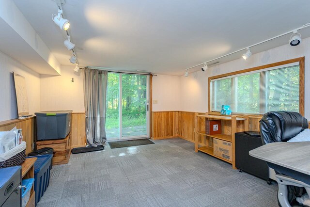 1340 Deer Brook Ct, Wausau, WI 54401 - office with rail lighting, wooden walls, wainscoting, and carpet floors
