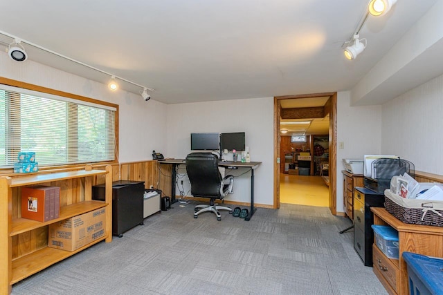 1340 Deer Brook Ct, Wausau, WI 54401 - office featuring rail lighting and carpet