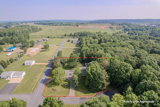 1340 Deer Brook Ct, Wausau, WI 54401 - aerial overview of property's location with property boundaries highlighted and a heavily wooded area