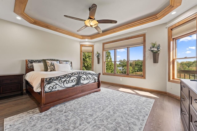 6507 Willow Ct, Waterford, WI 53185 - bedroom featuring a raised ceiling, multiple windows, wood finished floors, crown molding, and a ceiling fan