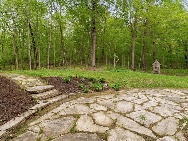 4228 County Hwy W, Valders, WI 54245 - view of yard with a patio area and a view of trees