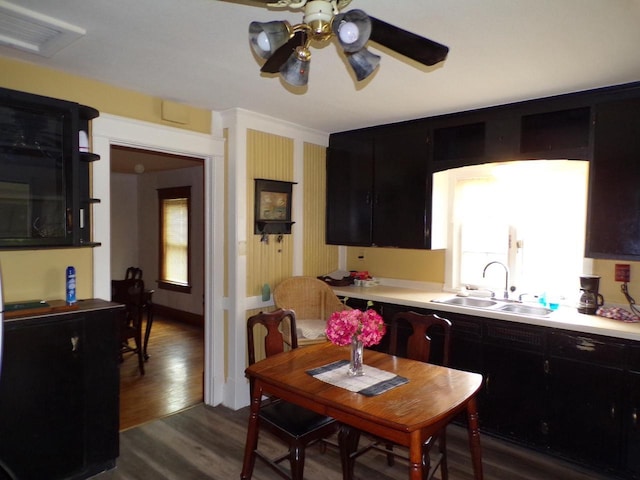 208 S Walker St, Wautoma, WI 54982 - kitchen featuring dark cabinets, a ceiling fan, light countertops, and dark wood-style floors