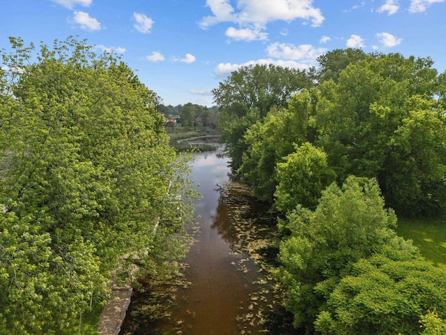 8950 Pine Ln, Fremont, WI 54940 - water view