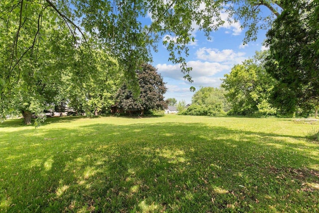 8950 Pine Ln, Fremont, WI 54940 - view of green lawn