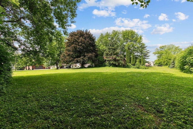 8950 Pine Ln, Fremont, WI 54940 - view of green lawn featuring view of wooded area
