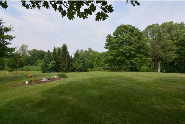 6200 County Road Tt, Marshall, WI 53559 - view of green lawn featuring view of wooded area