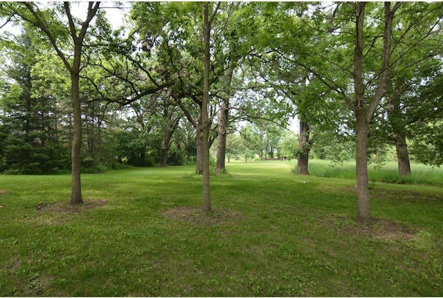 6200 County Road Tt, Marshall, WI 53559 - view of grassy yard
