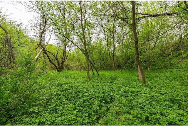 0 145th Ave, Plum City, WI 54761