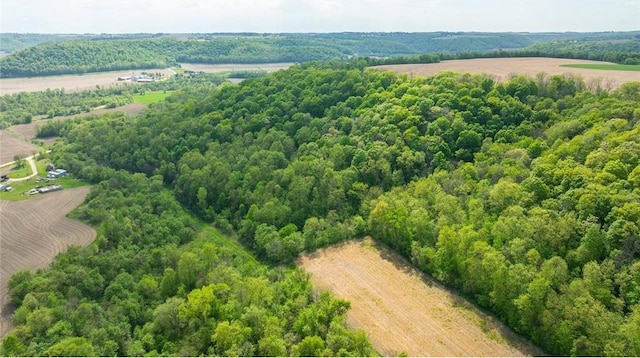 0 145th Ave, Plum City, WI 54761
