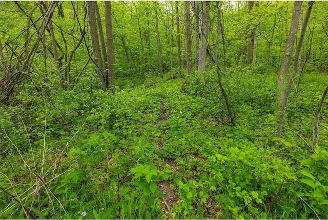 0 145th Ave, Plum City, WI 54761