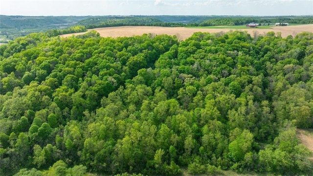 0 145th Ave, Plum City, WI 54761