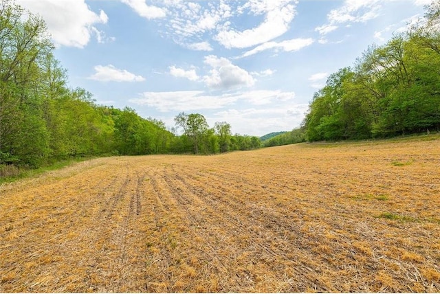 0 145th Ave, Plum City, WI 54761