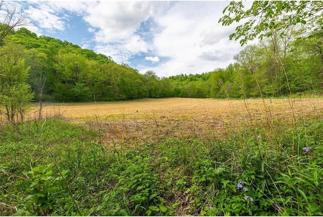 0 145th Ave, Plum City, WI 54761
