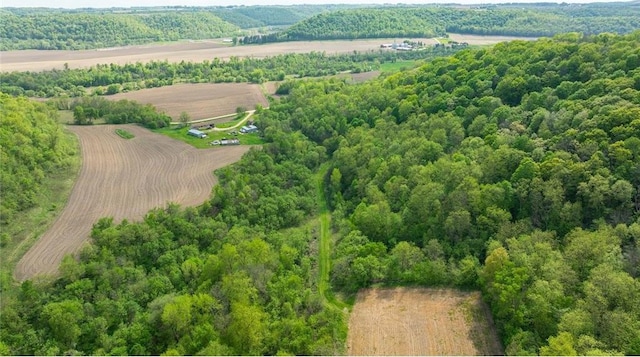 0 145th Ave, Plum City, WI 54761