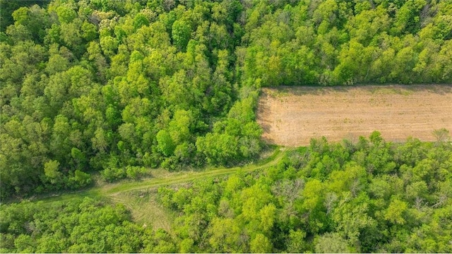 0 145th Ave, Plum City, WI 54761
