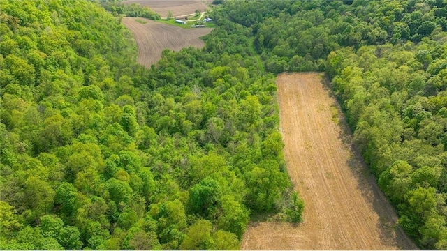 0 145th Ave, Plum City, WI 54761