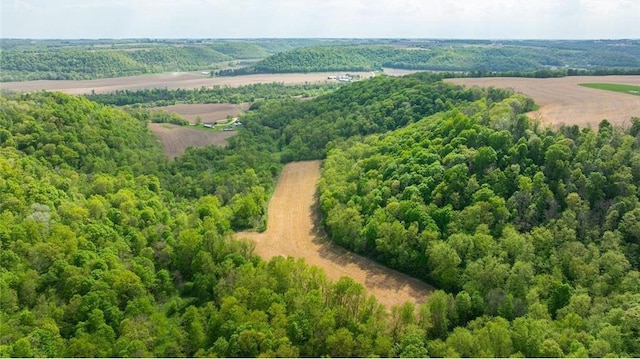 0 145th Ave, Plum City, WI 54761