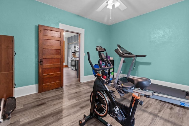 628 Broad St, Menasha, WI 54952 - exercise area featuring wood finished floors and ceiling fan