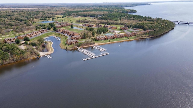 2015-1 S Czech Ct Unit 1201, Arkdale, WI 54613 - bird's eye view of a large body of water