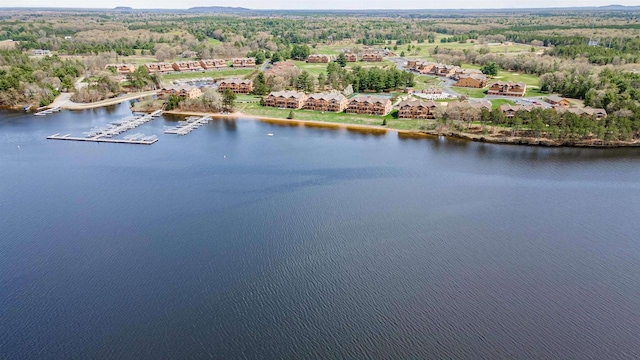 2015-1 S Czech Ct Unit 1201, Arkdale, WI 54613 - bird's eye view of a large body of water