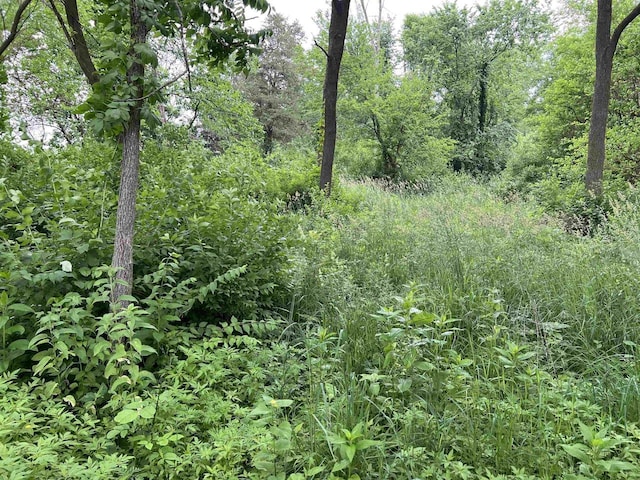30933 Slow Ln, Lone Rock, WI 53556