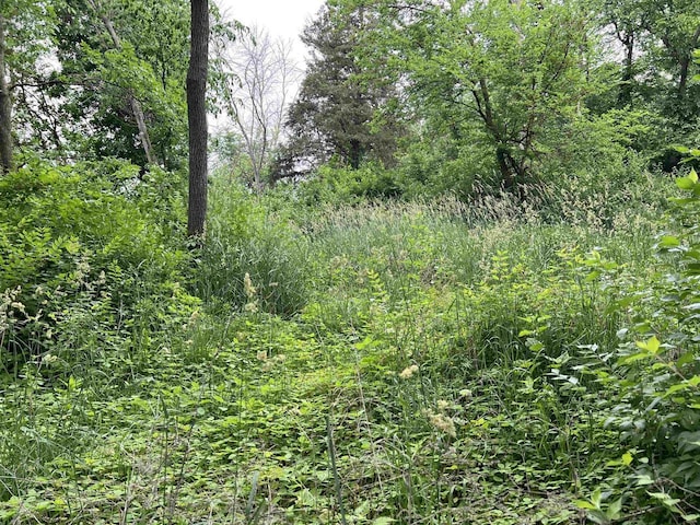 30933 Slow Ln, Lone Rock, WI 53556