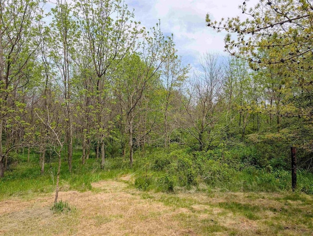 774 Enloe Rd, Rewey, WI 53580 - view of tree filled area
