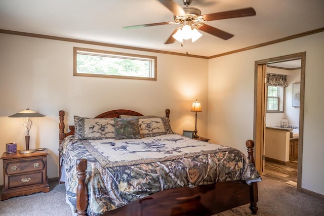W5671 8th St, Necedah, WI 54646 - carpeted bedroom with ornamental molding, a ceiling fan, and ensuite bath