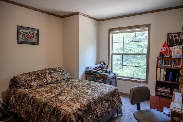 W5671 8th St, Necedah, WI 54646 - carpeted bedroom with ornamental molding and baseboards