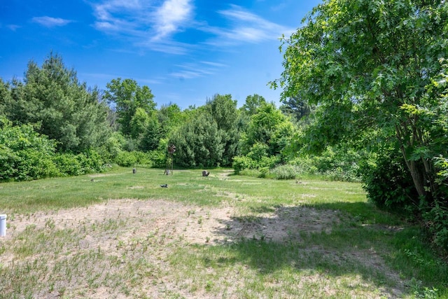 W5671 8th St, Necedah, WI 54646 - view of yard featuring a forest view